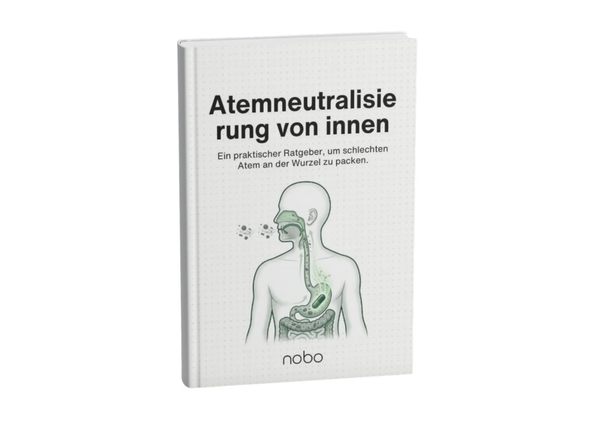 Leitfaden für dauerhaft frischen Atem