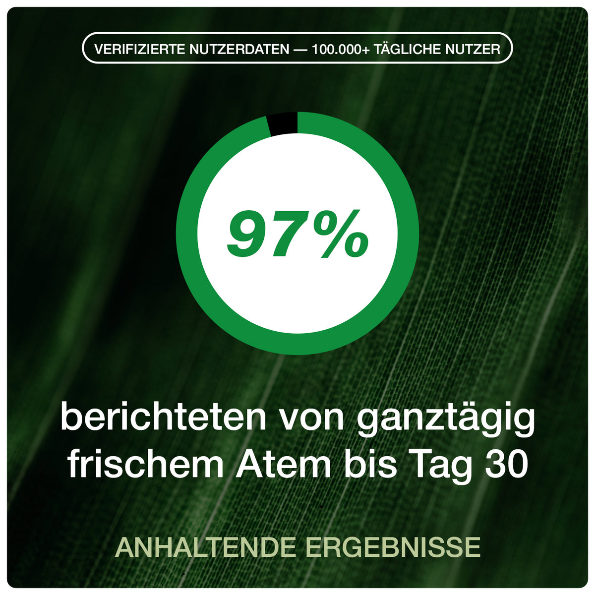 NOBO™ – Die fortschrittliche Formel zur Neutralisierung von Mundgeruch